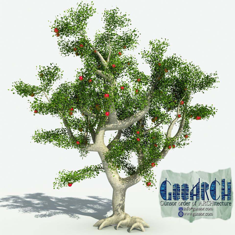 S. Korhan Günsor Mimarlik (c) - GooARCH Office